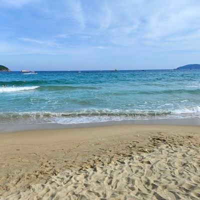 xflw0515's profile picture. 