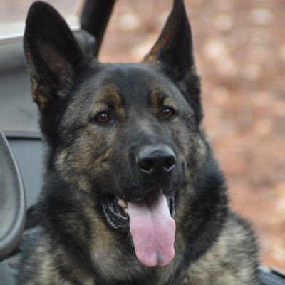 BackTracker07's profile picture. 