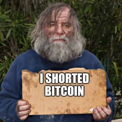 951beav's profile picture. Go Beavs