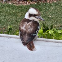 Lestump (@jerrabomb) 's Twitter Profile