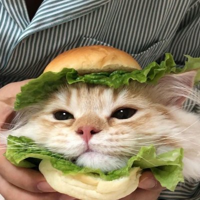kronolit3's profile picture. 