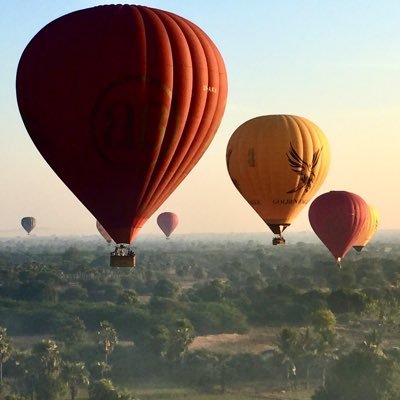 TreasureT33's profile picture. Finance professional, investor, parent , expat