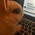 haiii_glep (@glephaiii) Twitter profile photo haiii_glep (@glephaiii) Twitter profile photo