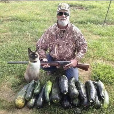 ScooterOnmidong's profile picture. 