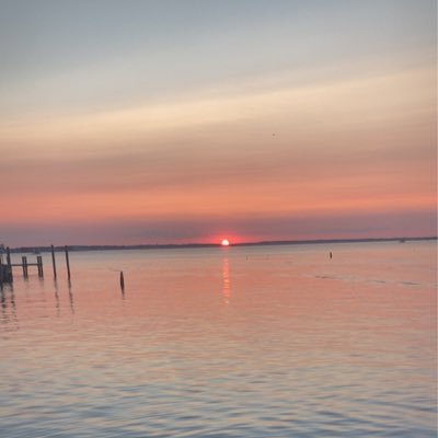 VBClothess's profile picture. Get yourself right at a low price.