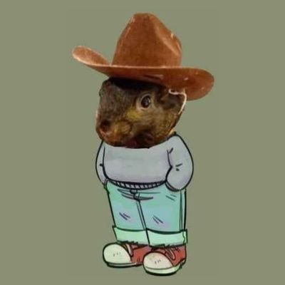 ChillNutCTO's profile picture. Just a Chill Squirrel 😎