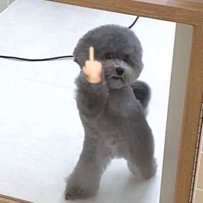 araraor3's profile picture. 