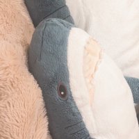 さめ【取引垢】 (@_same__shark_) 's Twitter Profile