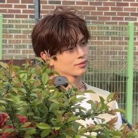heony ✨| 19.99 (@_starhues) 's Twitter Profile