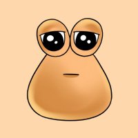 Pou (@poucoinx) 's Twitter Profile Photo Pou (@poucoinx) 's Twitter Profile Photo