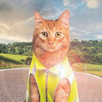 Stefan (@stef12345xyz) 's Twitter Profile Photo Stefan (@stef12345xyz) 's Twitter Profile Photo