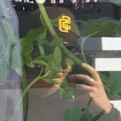 monessti's profile picture. 