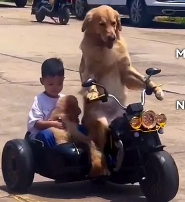 AlfonsoSot58959's profile picture. 