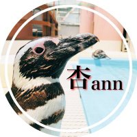 杏 (@ss27ar) 's Twitter Profile Photo