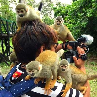 toshi_ono0626's profile picture. TV director/時空鉄道（NHK）/OH!舞DA PUMPエボリューション（ひかりTV）/アルピーの福島あるある認定委員会（福島テレビ）/ちゃんきみ(DA PUMP KIMI YouTube)