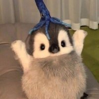 くにゃ (@kunya928) 's Twitter Profile
