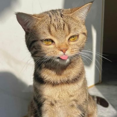 seikatu_sora's profile picture. あなたが穏やかな日々を過ごせますように