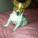 scorps101 - @MeaghanHennessy - Twitter