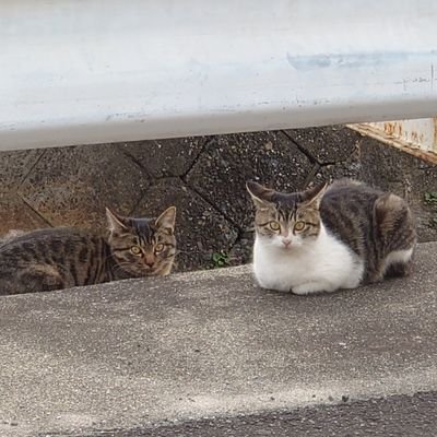 天臨さんのプロフィール画像