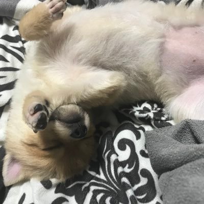 abc0219's profile picture. 