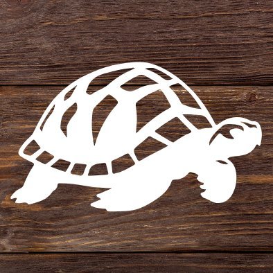 kamex0017's profile picture. ギリシャリクガメのカメックス。男の子です。のんびり暮らしてます。