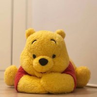 Jason.Z.Gao (@jasongao279489) 's Twitter Profile