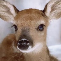J (@aojm_0) 's Twitter Profile