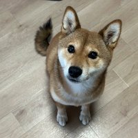 Yuuki/ゆうき (@yuuki1gou) Twitter profile photo