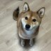 Yuuki/ゆうき (@yuuki1gou) Twitter profile photo Yuuki/ゆうき (@yuuki1gou) Twitter profile photo