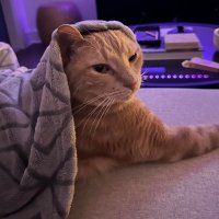 π (@zeks300) 's Twitter Profile