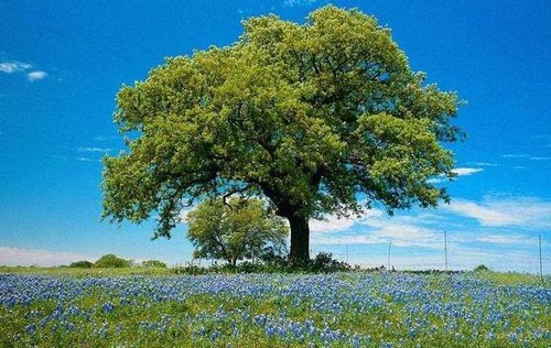 abdulhakim099's profile picture. 