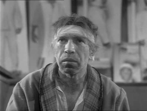 Poligrafych's profile picture. Жертва человеческого беспредела... #юмор #анекдоты #фото #foto #взаимныйфолловинг