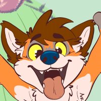 KoidelCoyote 💫 FWA AC MP (@koidelcoyote) 's Twitter Profile
