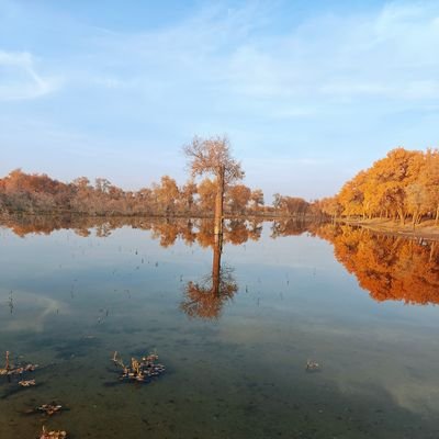 shan_haiya's profile picture. 