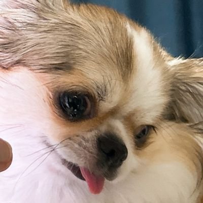 mstxbb's profile picture. 햄프 3n 🧡이별은 블언블해주세요!