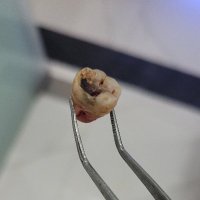 Dr Randhawa (@abc967041505) 's Twitter Profile