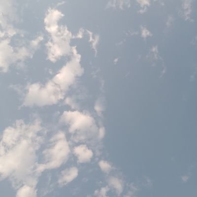 haseeb_edu's profile picture. 