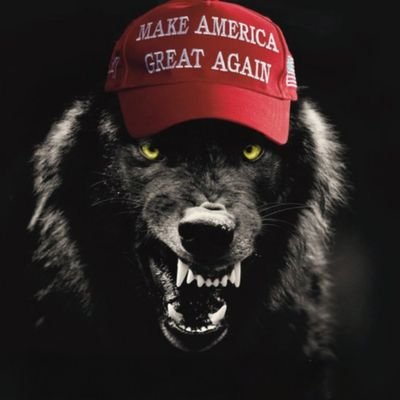 Christian. Father. Husband. Texan. Guitarded Constitutional Conservative GenX MAGA Metalist🤘 LSU alumn, Armed Basedman laughing at BlueSkyscreamers.
