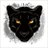 CryptoLeopard avatar