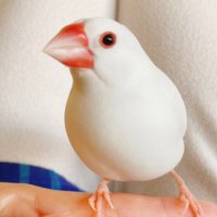 みかっち (@mi_ka_chi_k) Twitter profile photo