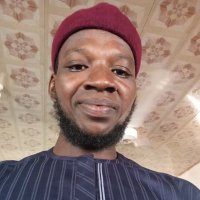 Hamza Aleeyu 🍊,💊 (@alhamza68) Twitter profile photo