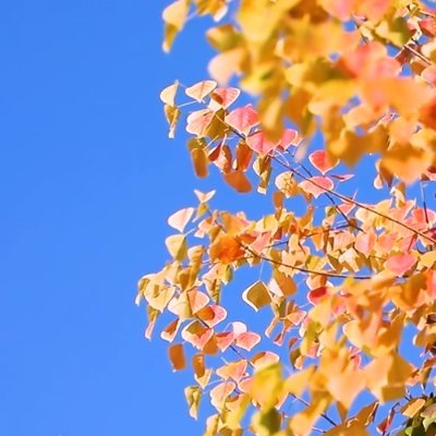 jianglou6688's profile picture. I like traveling around the world. ( Follow me and follow back)