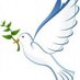 freedom pigeon (@pigeon_freedom) Twitter profile photo freedom pigeon (@pigeon_freedom) Twitter profile photo