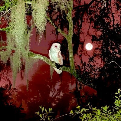 somnophiliacpet's profile picture. nineteen ☣︎ they+he ☣︎ masochistic transfag ☣︎ 18+