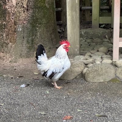 ぱちみんさんのプロフィール画像