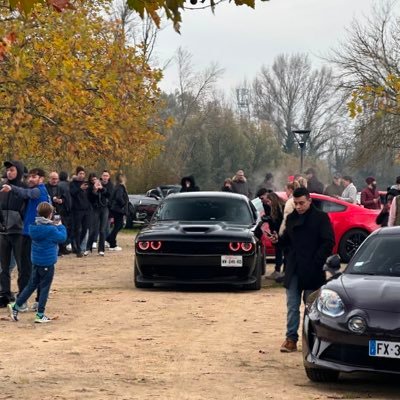 davidou_29's profile picture. 🇵🇹 Ma philosophie c’est d’être fière d’être portugais et ça jusqu’à la mort 🇵🇹