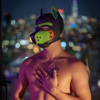 wolf fenrir (@fenrirwolf47) 's Twitter Profile