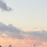 ねこ (@neko___u) 's Twitter Profile