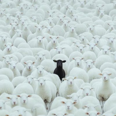 BOYP02's profile picture. SINGER | SONG WRITER