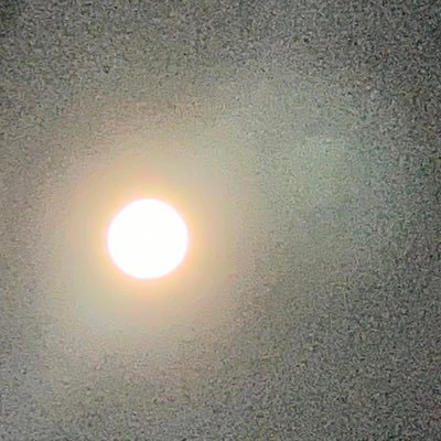 xcpan518418's profile picture. 